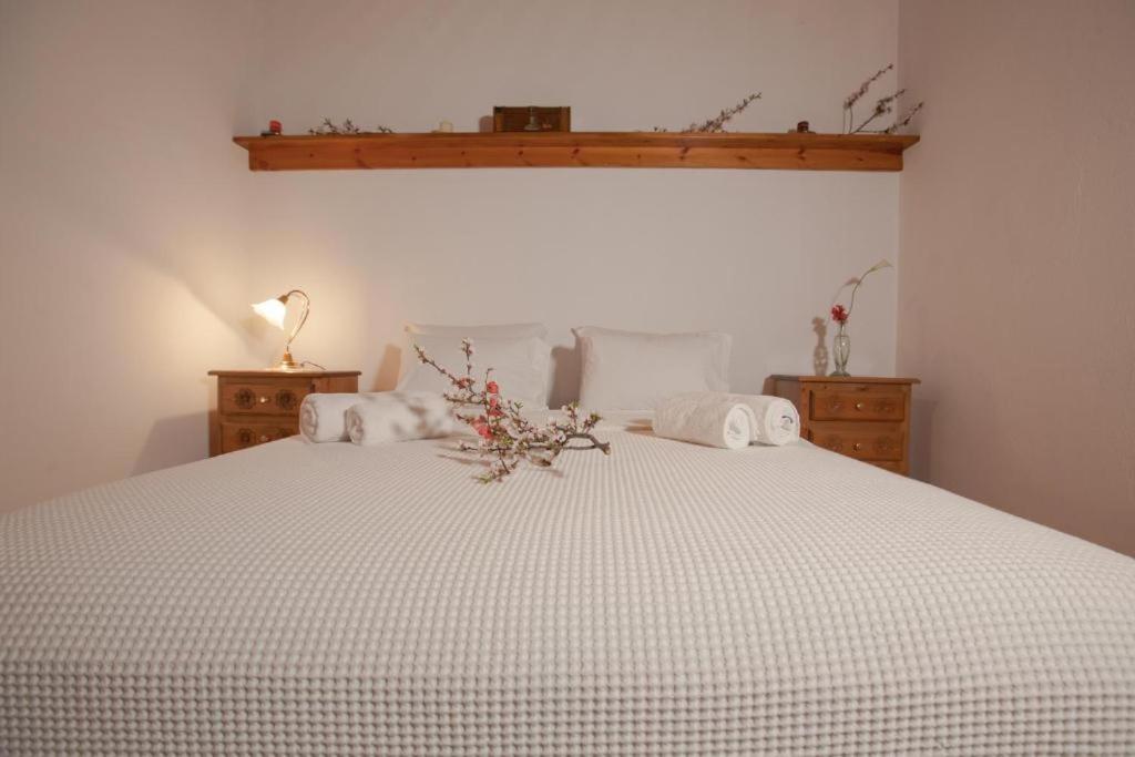 Eremia Rustic House - Entire Villa in Pelion Makrinítsa Esterno foto