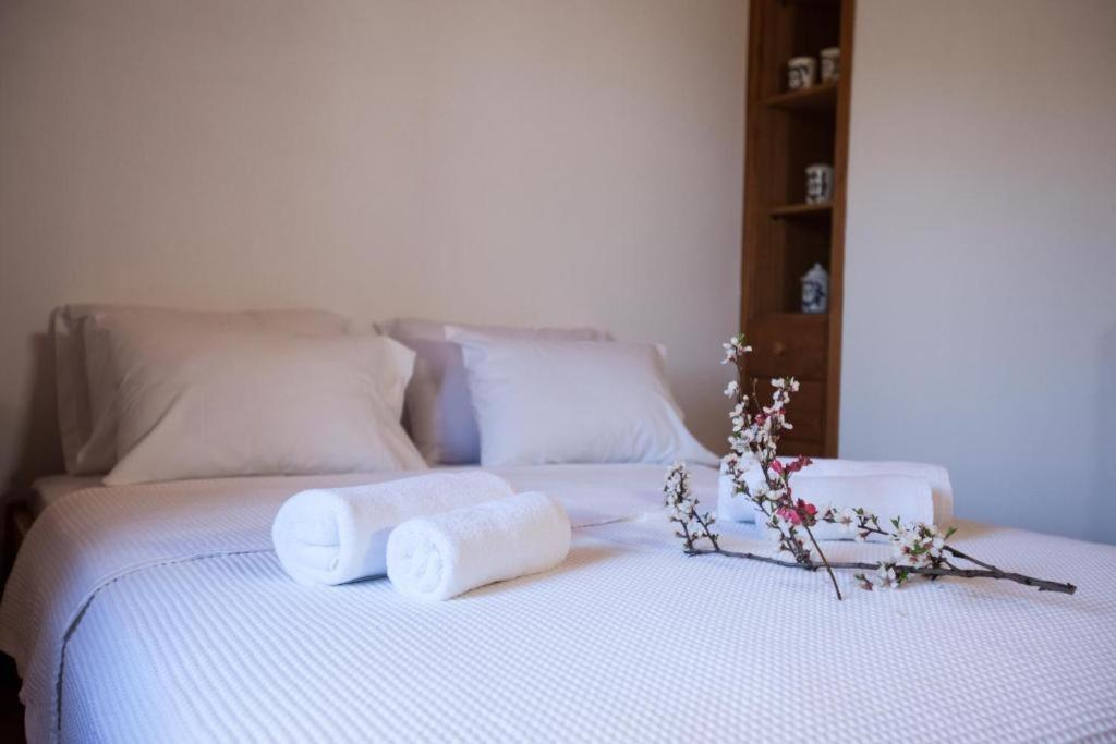 Eremia Rustic House - Entire Villa in Pelion Makrinítsa Esterno foto